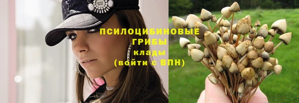 COCAINE Баксан